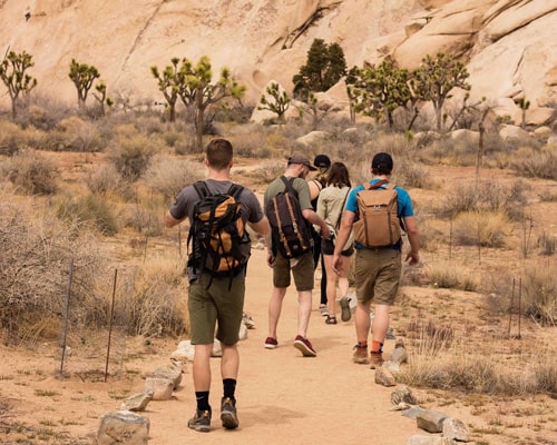 Sustainable Construction Practices