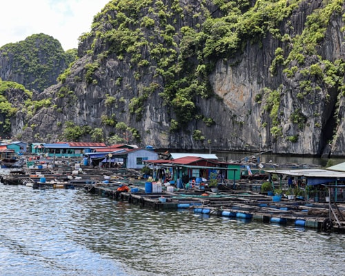 Property Development